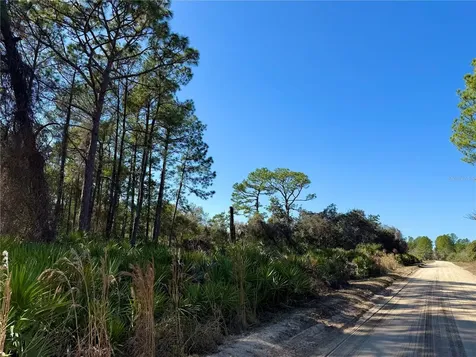 40001 Maggie Jones Road Paisley FL 32767