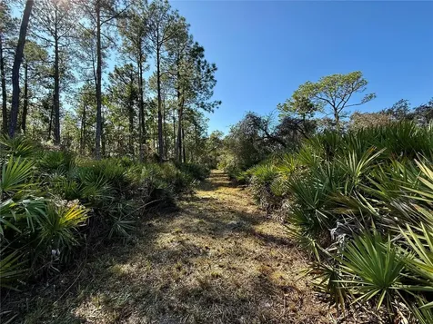 40001 Maggie Jones Road Paisley FL 32767