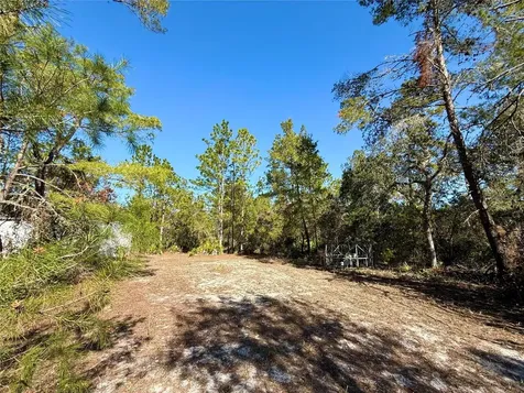 40001 Maggie Jones Road Paisley FL 32767