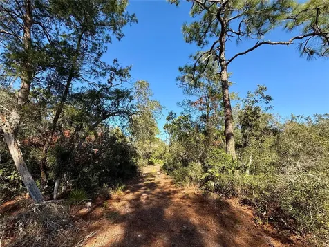 40001 Maggie Jones Road Paisley FL 32767