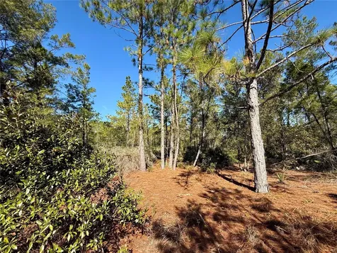 40001 Maggie Jones Road Paisley FL 32767