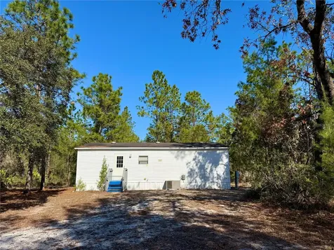 40001 Maggie Jones Road Paisley FL 32767