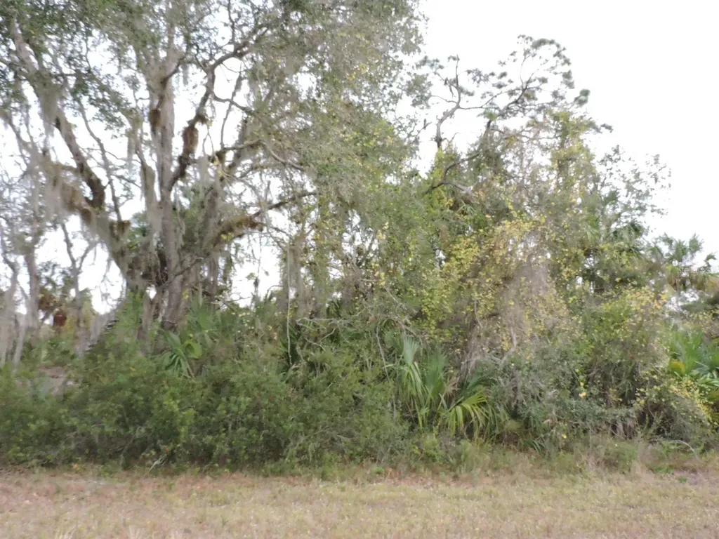 1012 Bowman Terrace Port Charlotte FL 33953
