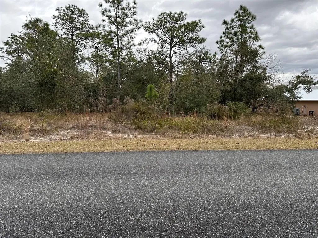SW Obee Ridge Road Dunnellon FL 34431