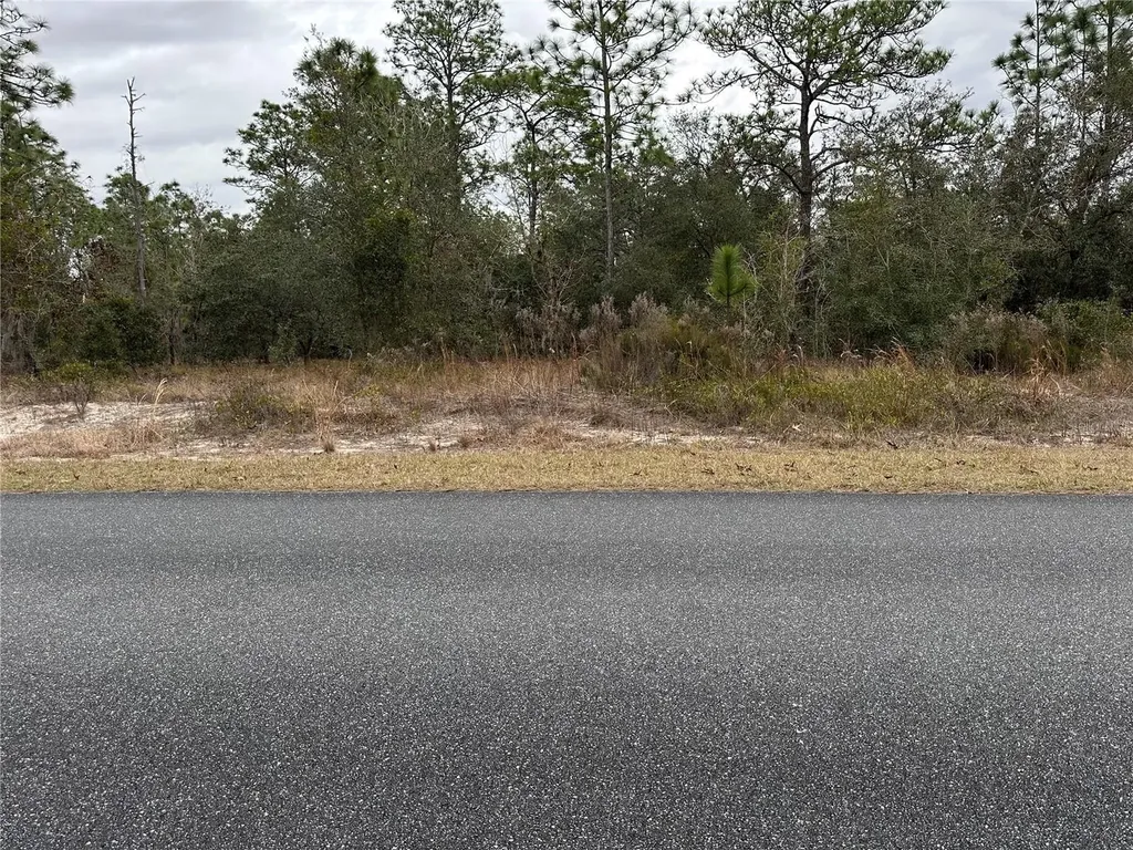 SW Obee Ridge Road Dunnellon FL 34431
