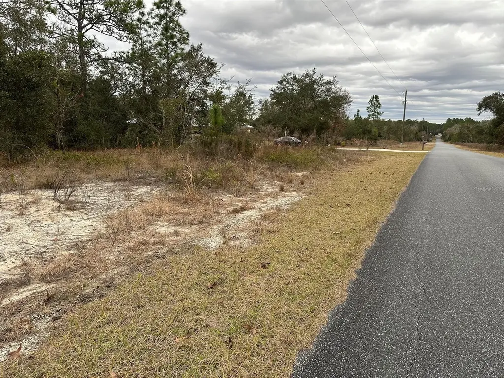 SW Obee Ridge Road Dunnellon FL 34431