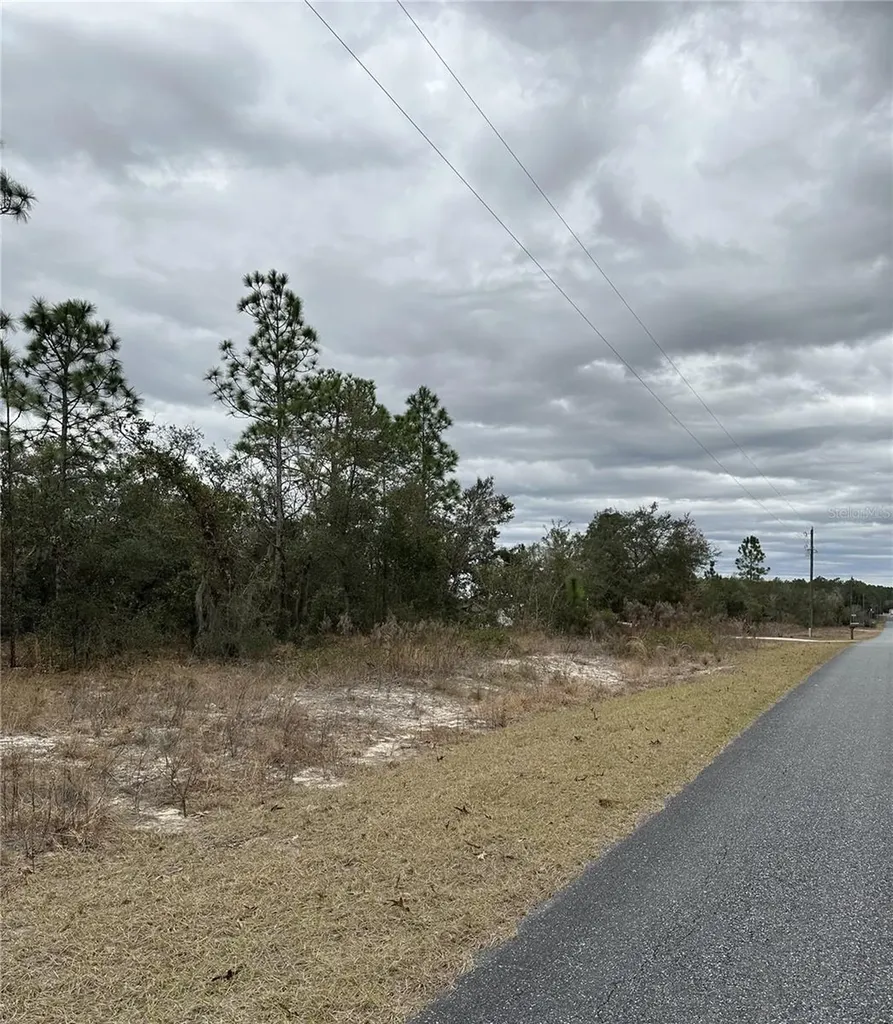 SW Obee Ridge Road Dunnellon FL 34431