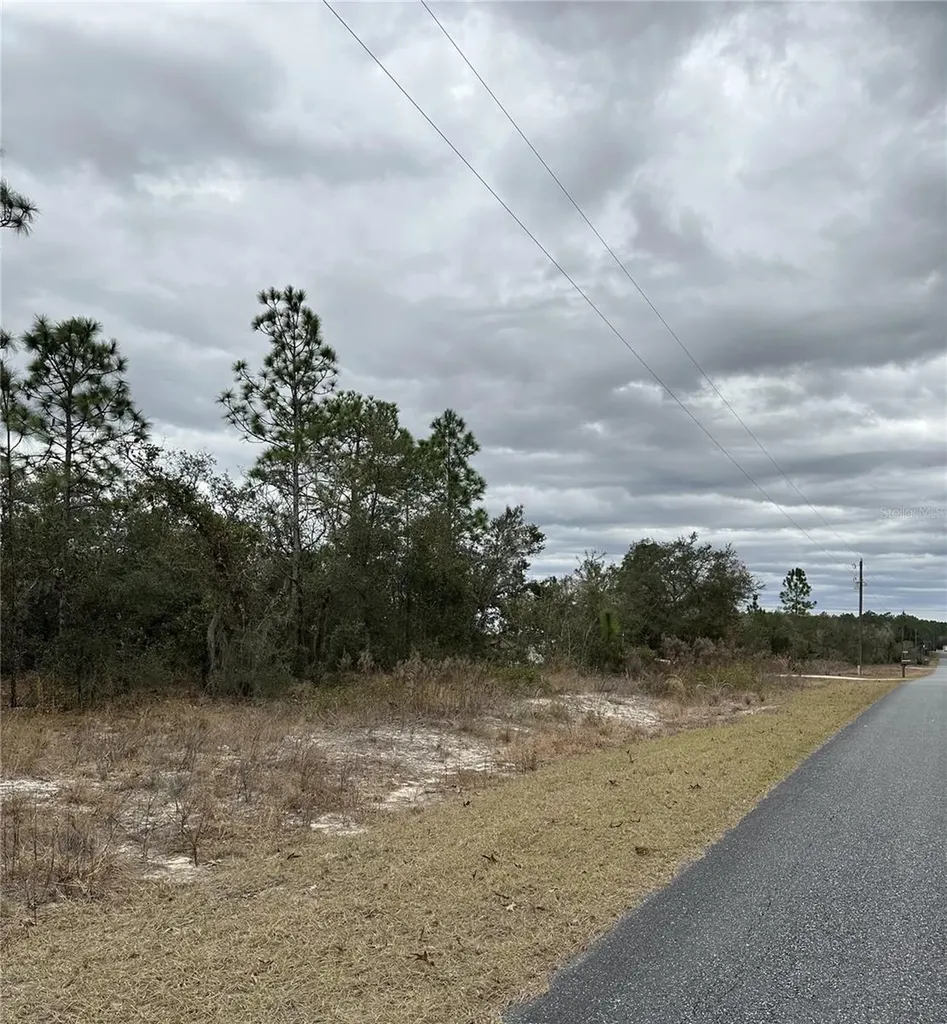 SW Obee Ridge Road Dunnellon FL 34431