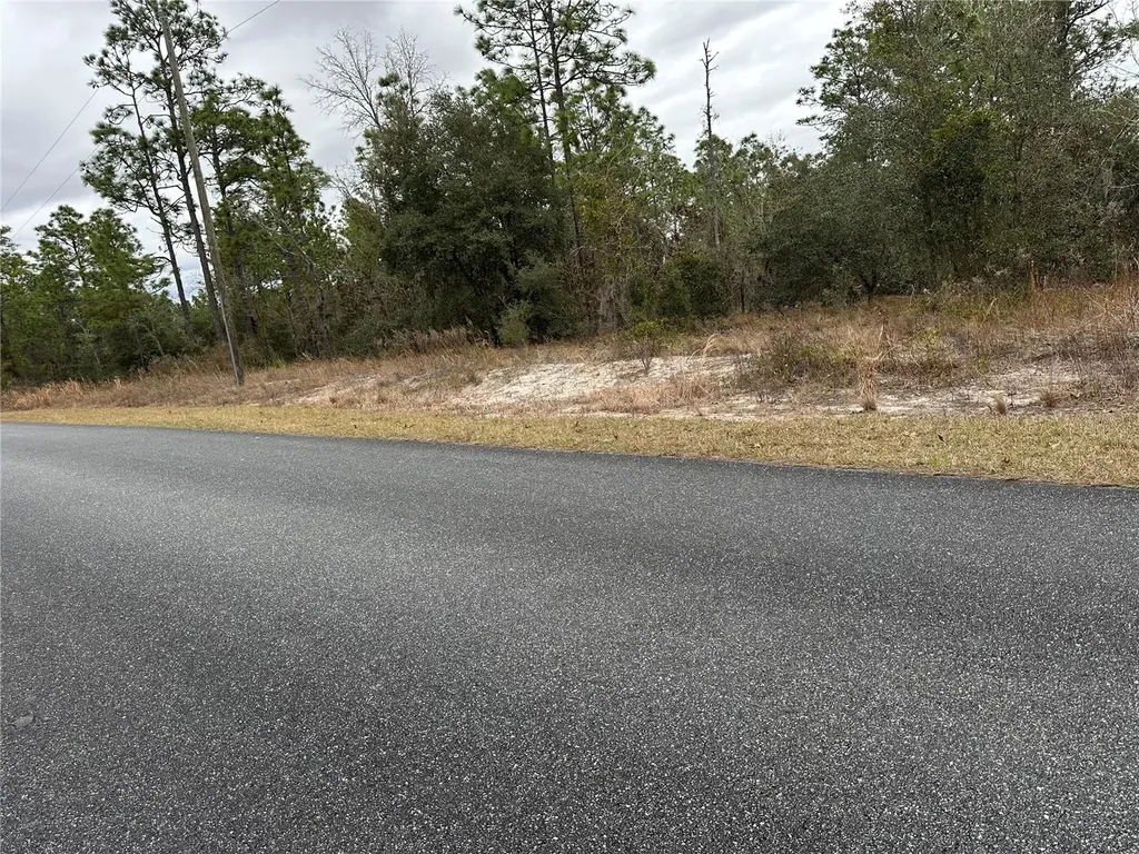 SW Obee Ridge Road Dunnellon FL 34431