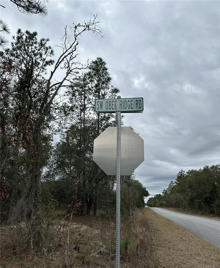 SW Obee Ridge Road Dunnellon FL 34431