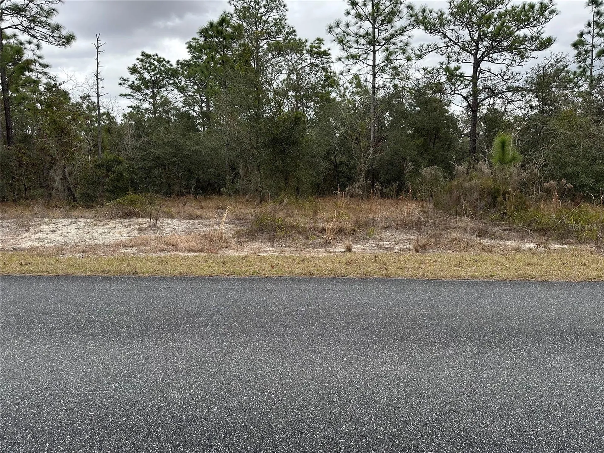 SW Obee Ridge Road Dunnellon FL 34431