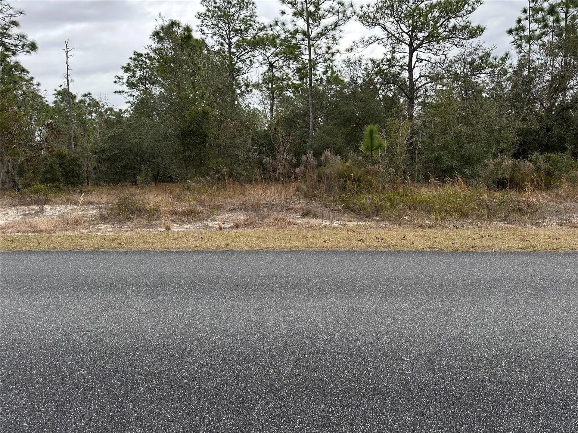 SW Obee Ridge Road Dunnellon FL 34431