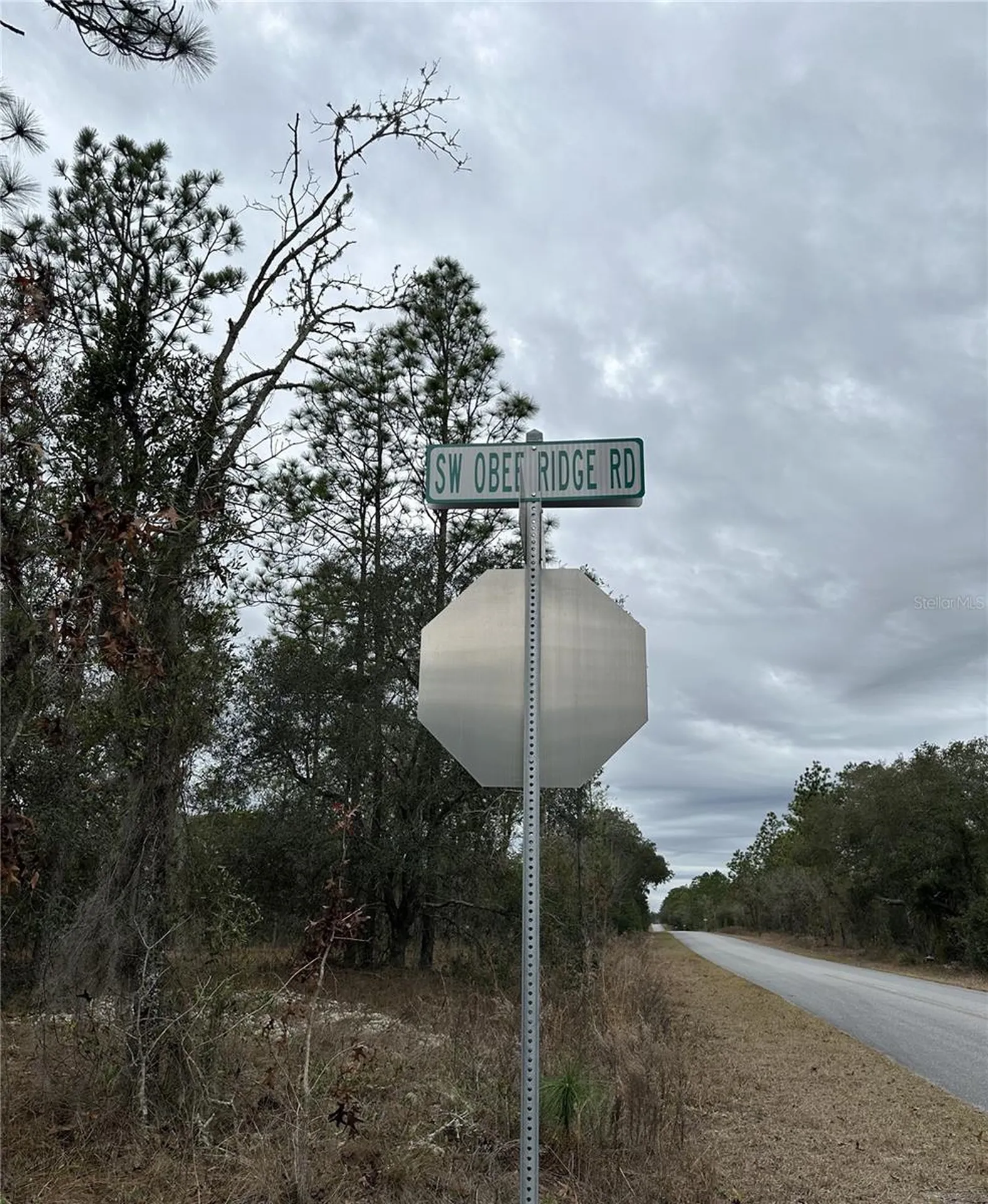 SW Obee Ridge Road Dunnellon FL 34431