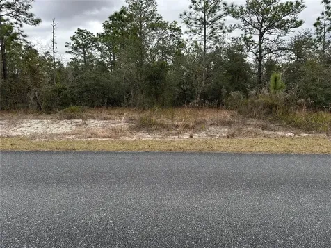 SW Obee Ridge Road Dunnellon FL 34431