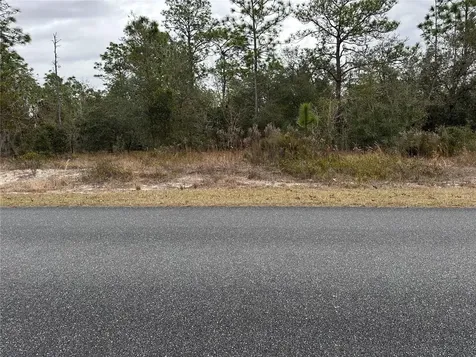 SW Obee Ridge Road Dunnellon FL 34431