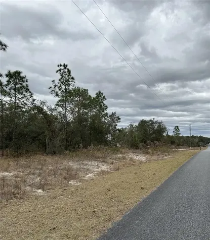 SW Obee Ridge Road Dunnellon FL 34431