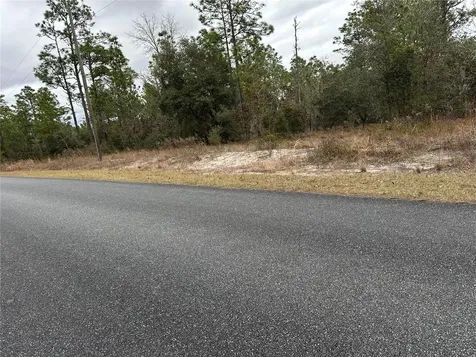 SW Obee Ridge Road Dunnellon FL 34431