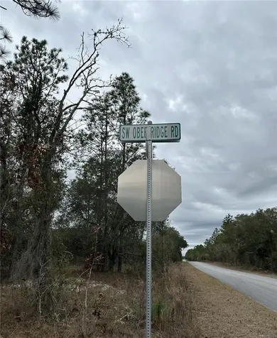 SW Obee Ridge Road Dunnellon FL 34431