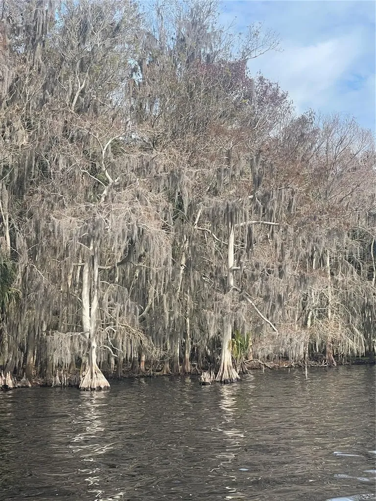 233 Stella Road Georgetown FL 32139
