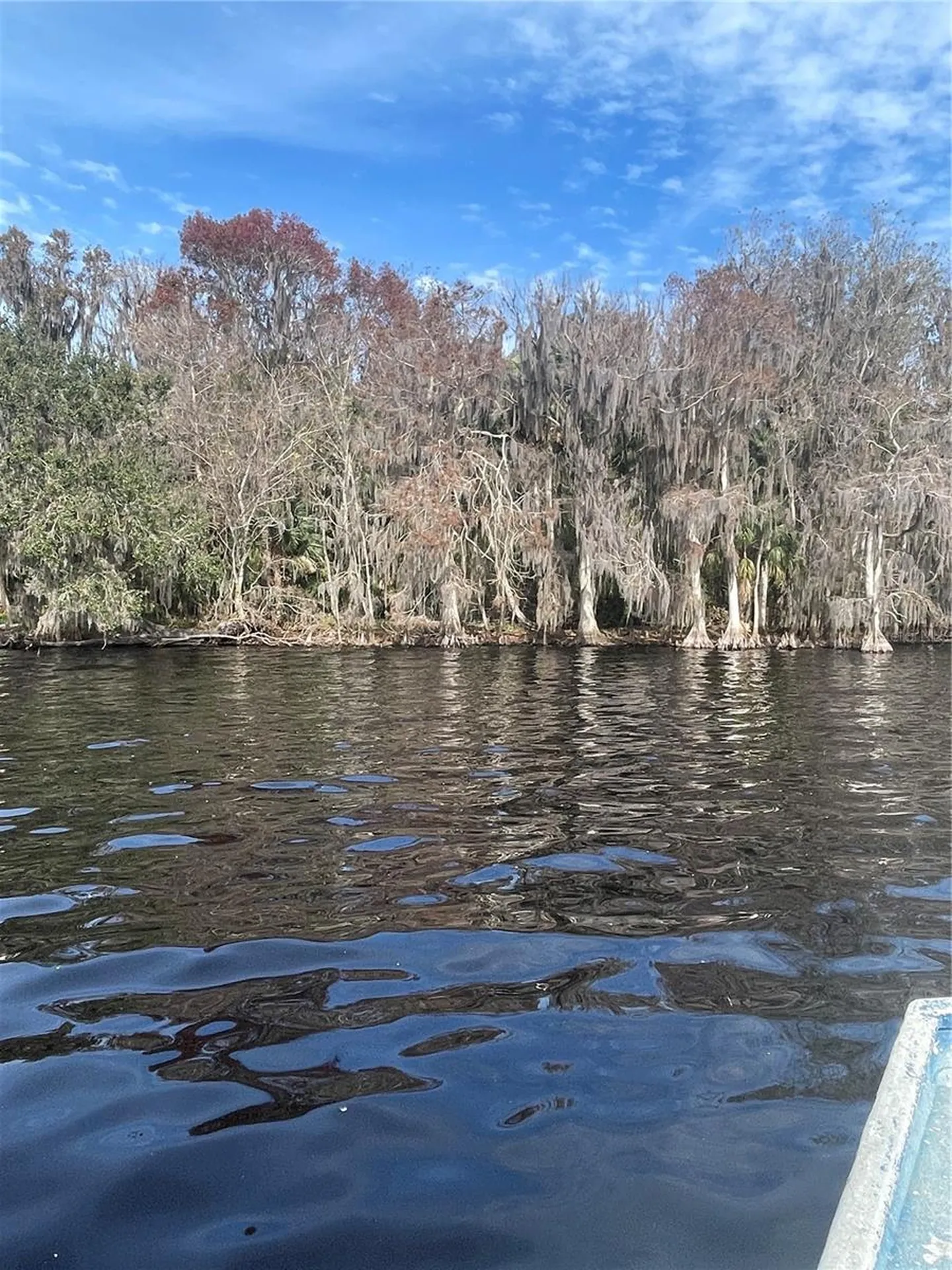 233 Stella Road Georgetown FL 32139