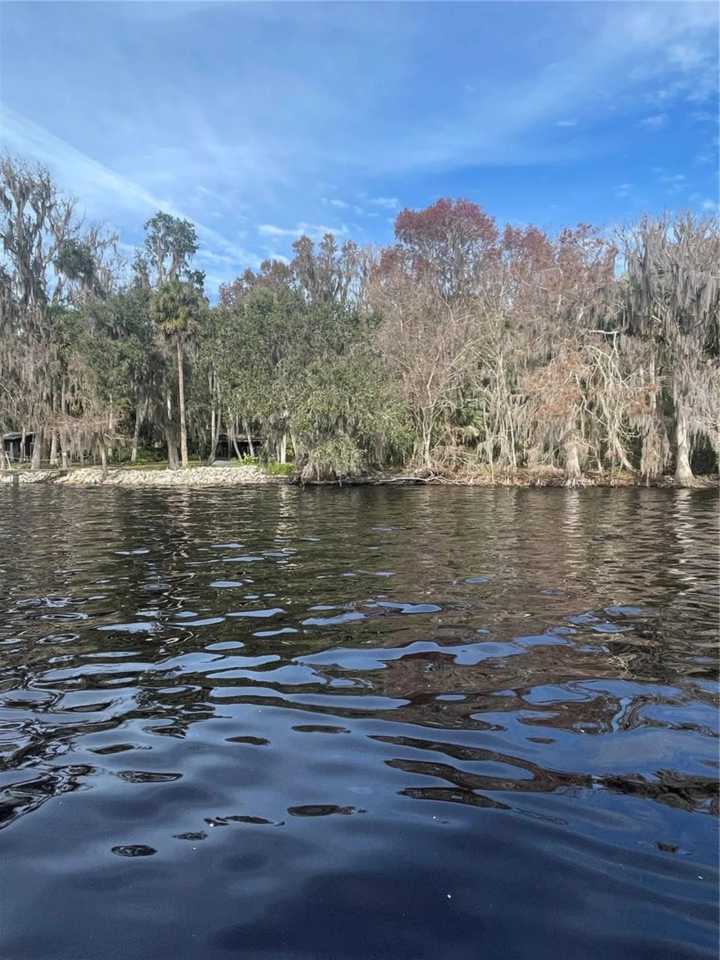 233 Stella Road Georgetown FL 32139