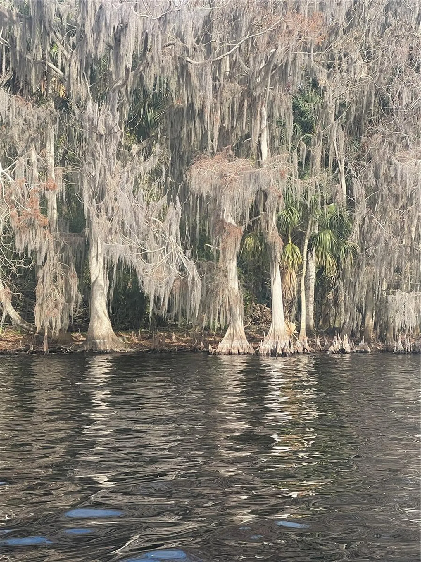 233 Stella Road Georgetown FL 32139