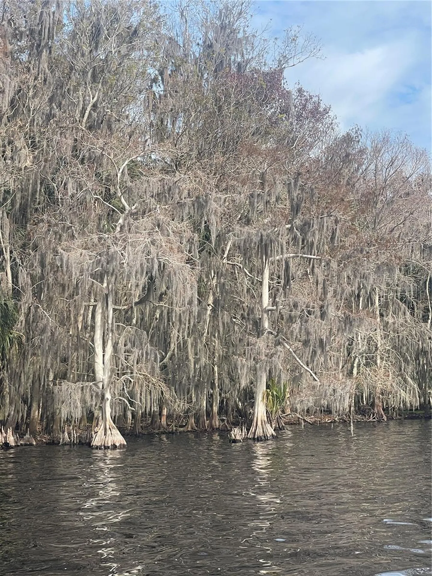 233 Stella Road Georgetown FL 32139