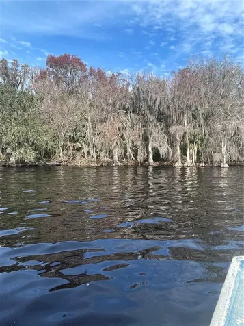 233 Stella Road Georgetown FL 32139