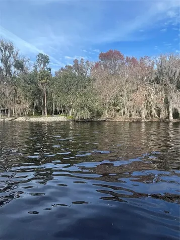 233 Stella Road Georgetown FL 32139