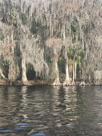 233 Stella Road Georgetown FL 32139