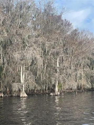 233 Stella Road Georgetown FL 32139