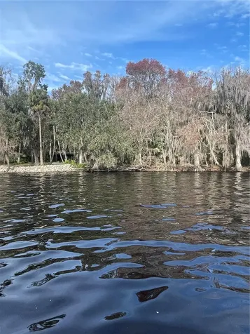 233 Stella Road Georgetown FL 32139