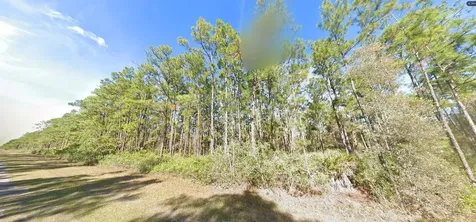 Belmonte Drive Indian Lake Estates FL 33855
