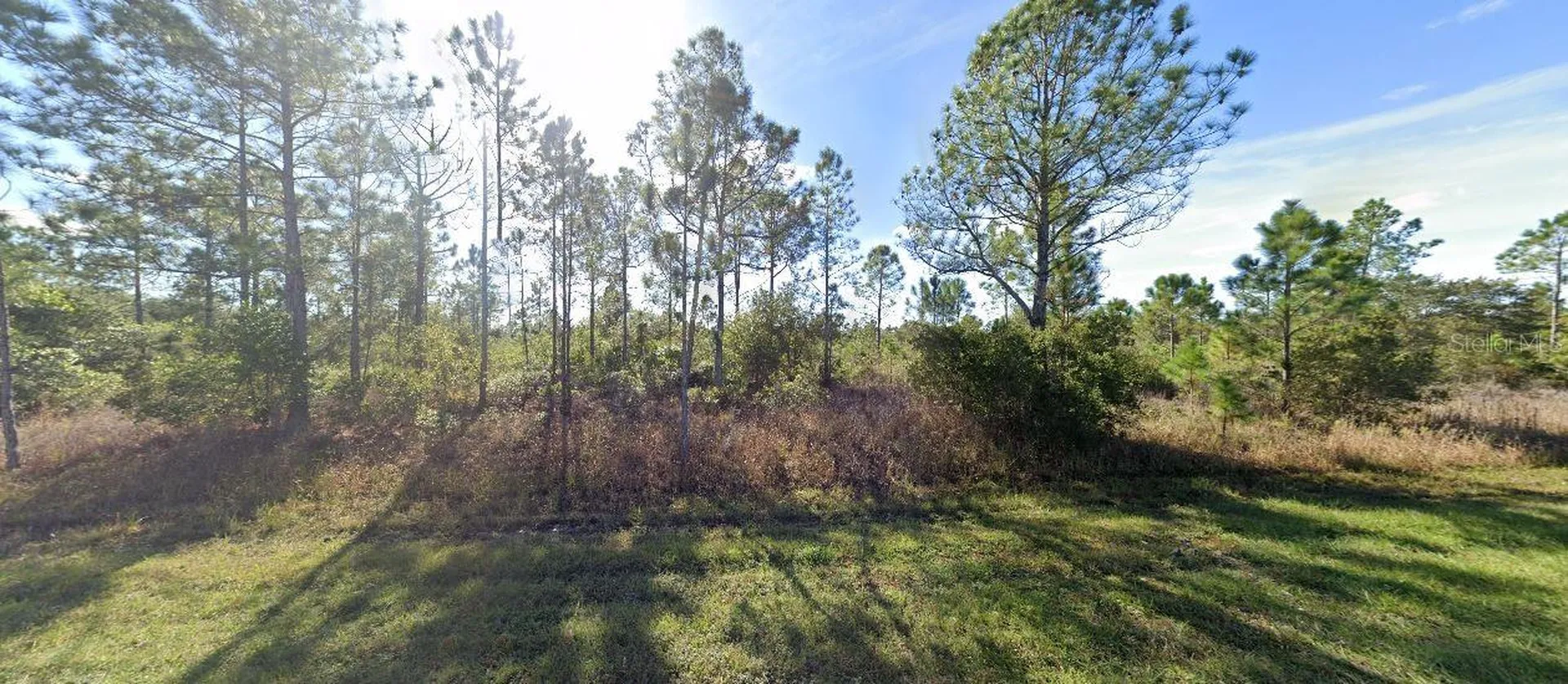 411 Allamanda Drive Indian Lake Estates FL 33855