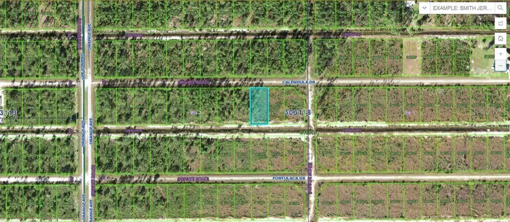 Calendula Drive Indian Lake Estates FL 33855