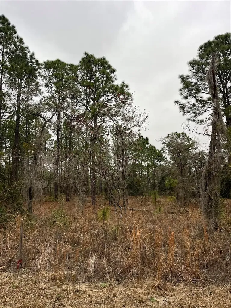 Lot 57 NW Skylark Street Dunnellon FL 34431