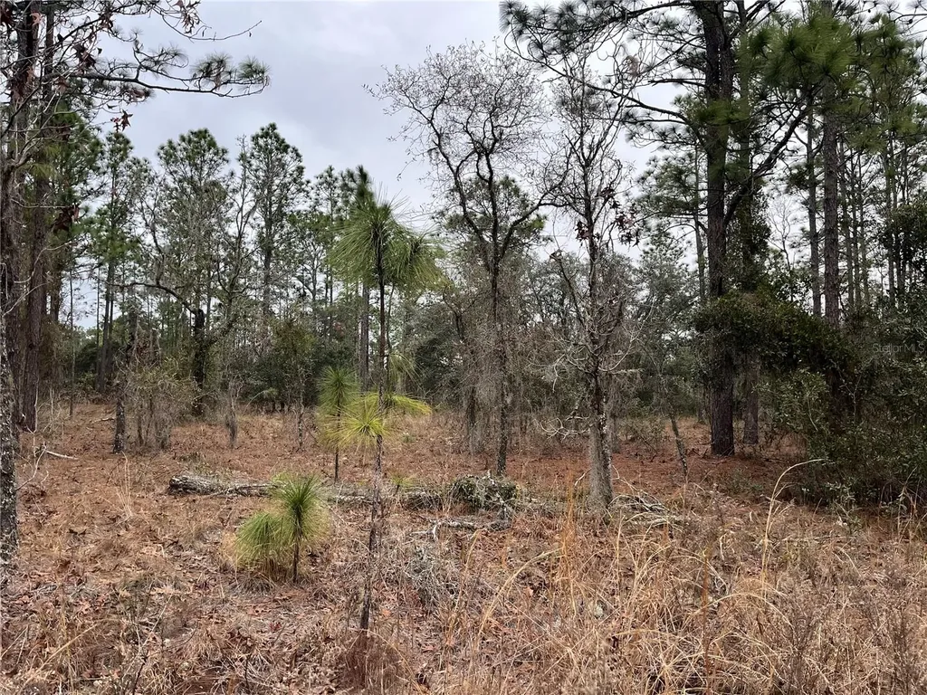 Lot 57 NW Skylark Street Dunnellon FL 34431