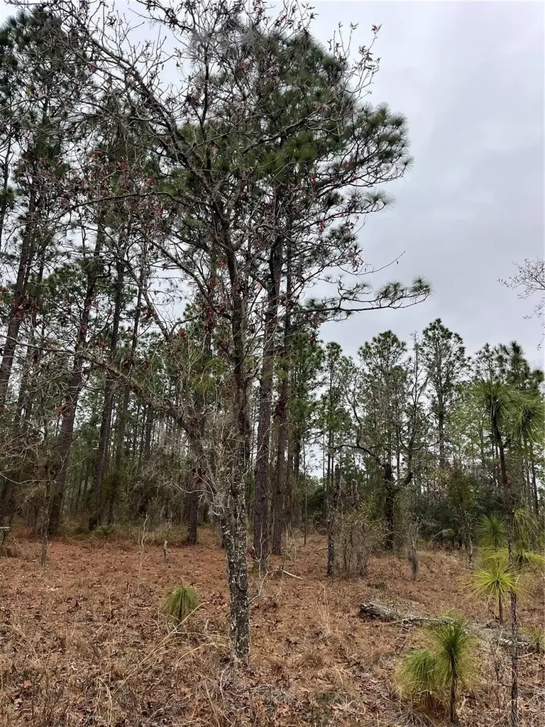 Lot 57 NW Skylark Street Dunnellon FL 34431
