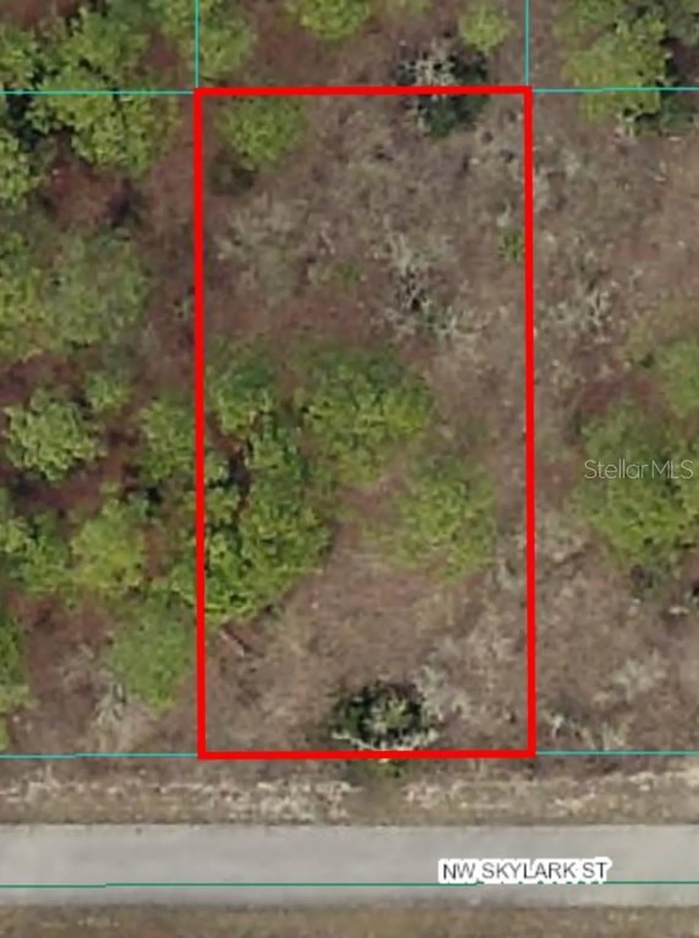 Lot 57 NW Skylark Street Dunnellon FL 34431