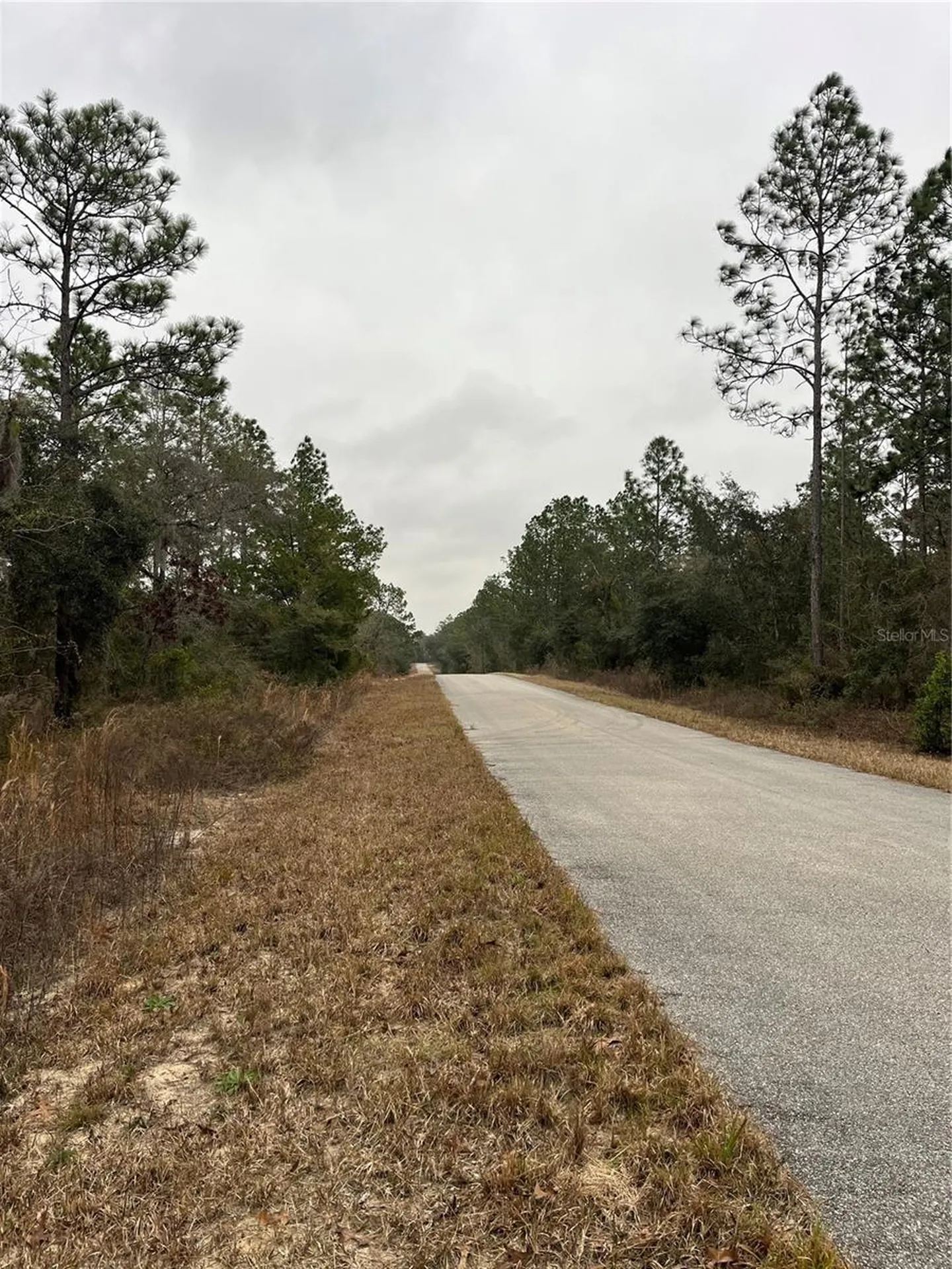 Lot 57 NW Skylark Street Dunnellon FL 34431
