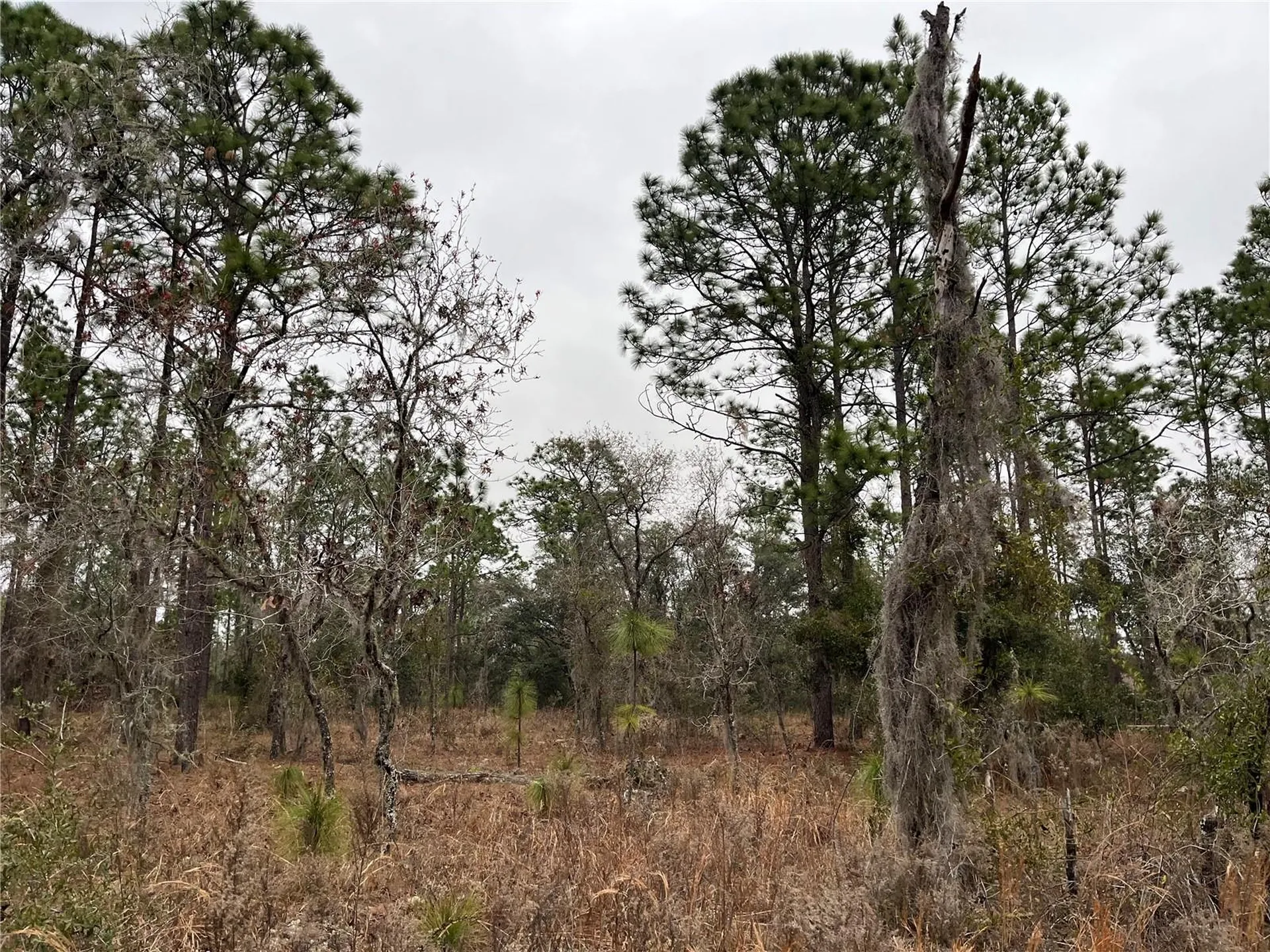 Lot 57 NW Skylark Street Dunnellon FL 34431