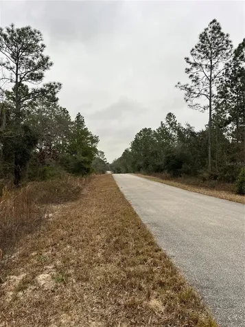 Lot 57 NW Skylark Street Dunnellon FL 34431