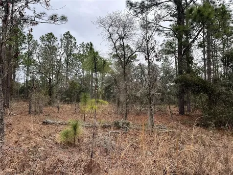 Lot 57 NW Skylark Street Dunnellon FL 34431