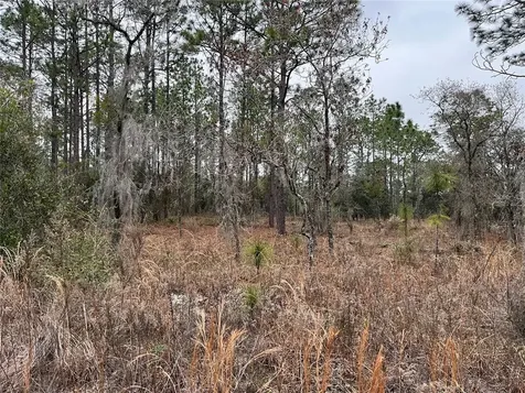 Lot 57 NW Skylark Street Dunnellon FL 34431