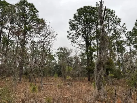 Lot 57 NW Skylark Street Dunnellon FL 34431