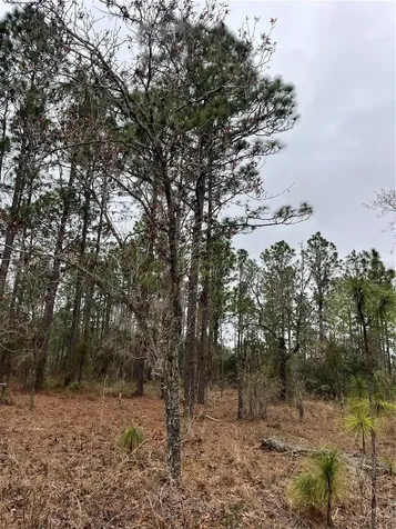 Lot 57 NW Skylark Street Dunnellon FL 34431