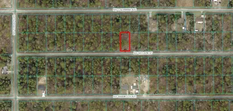 Lot 57 NW Skylark Street Dunnellon FL 34431