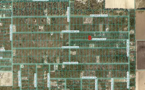Lot 57 NW Skylark Street Dunnellon FL 34431