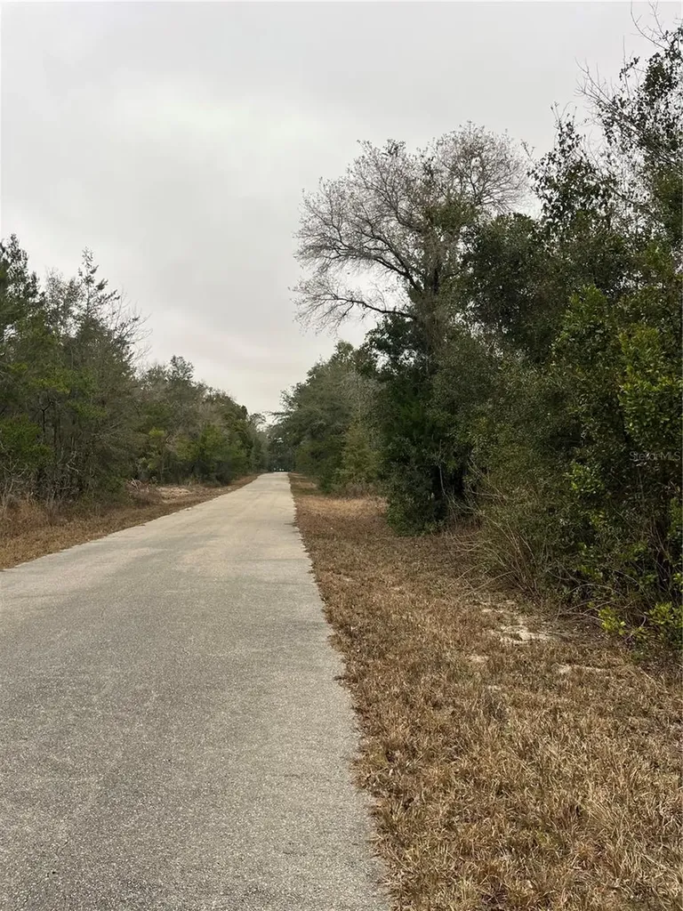 Lot 36 SW Monines Court Dunnellon FL 34431