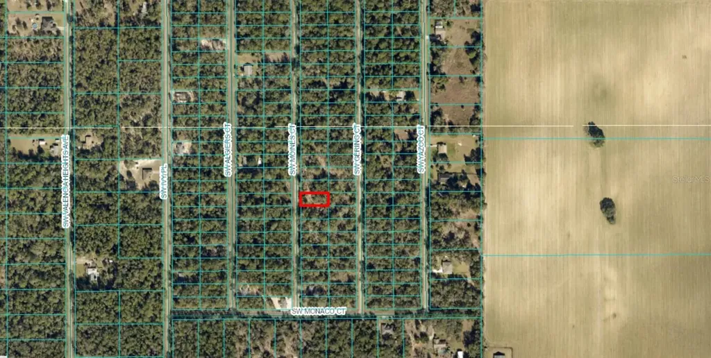 Lot 36 SW Monines Court Dunnellon FL 34431